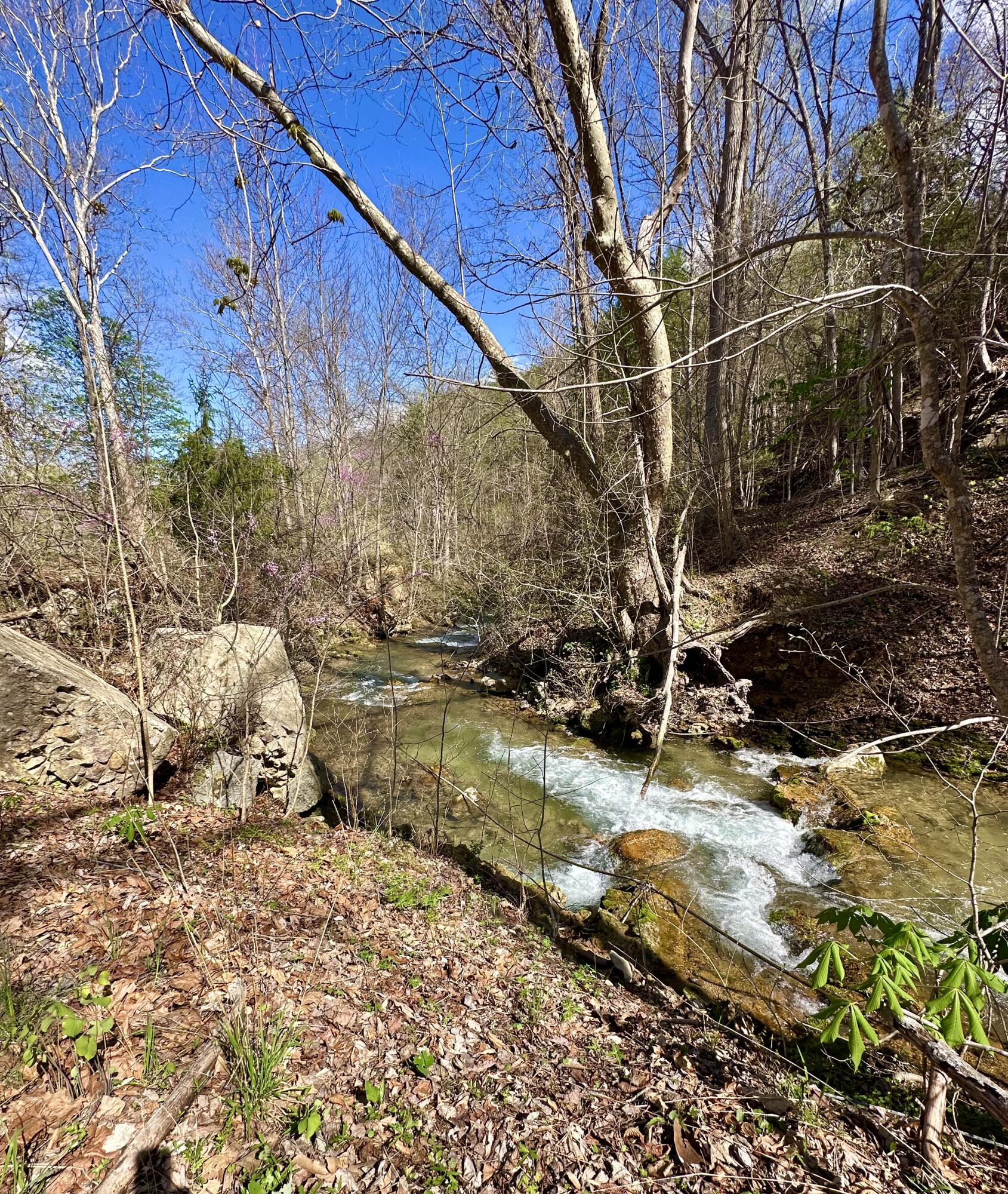 5910 Falls Road Hot Springs, VA 24445 - Photo 3 of 60 IMG_1363