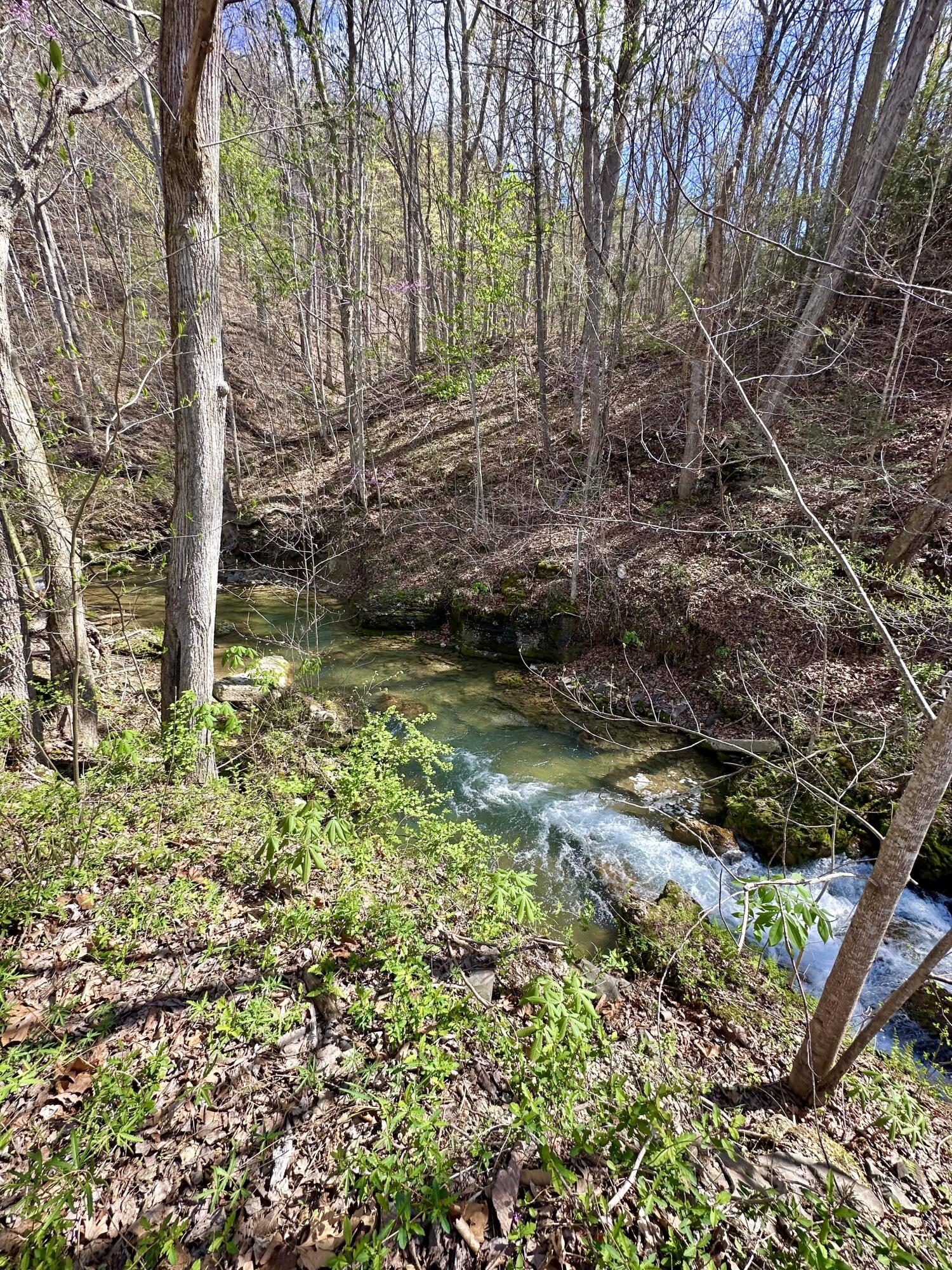 5910 Falls Road Hot Springs, VA 24445 - Photo 4 of 60 IMG_1367