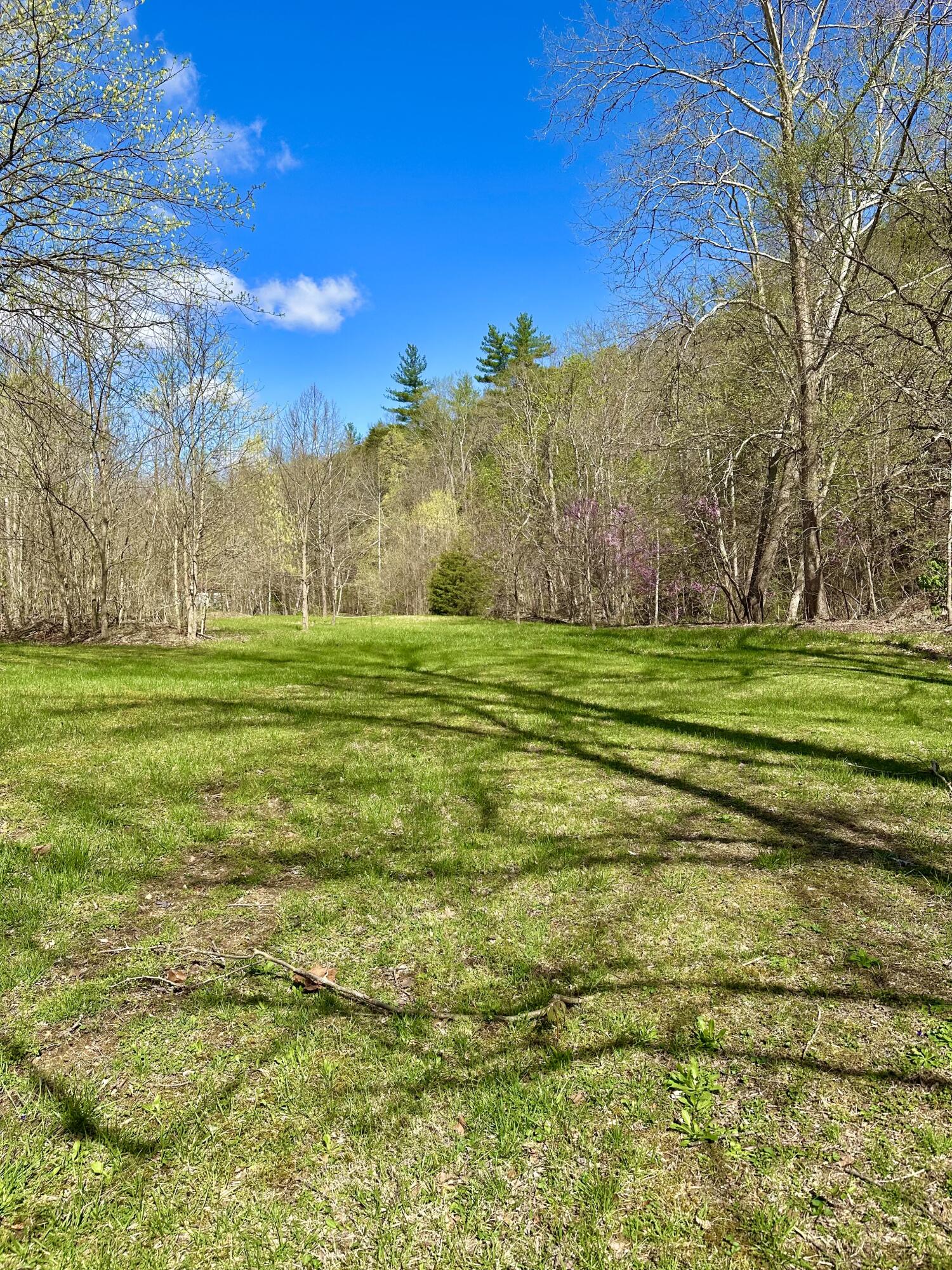 5910 Falls Road Hot Springs, VA 24445 - Photo 56 of 60 IMG_1371