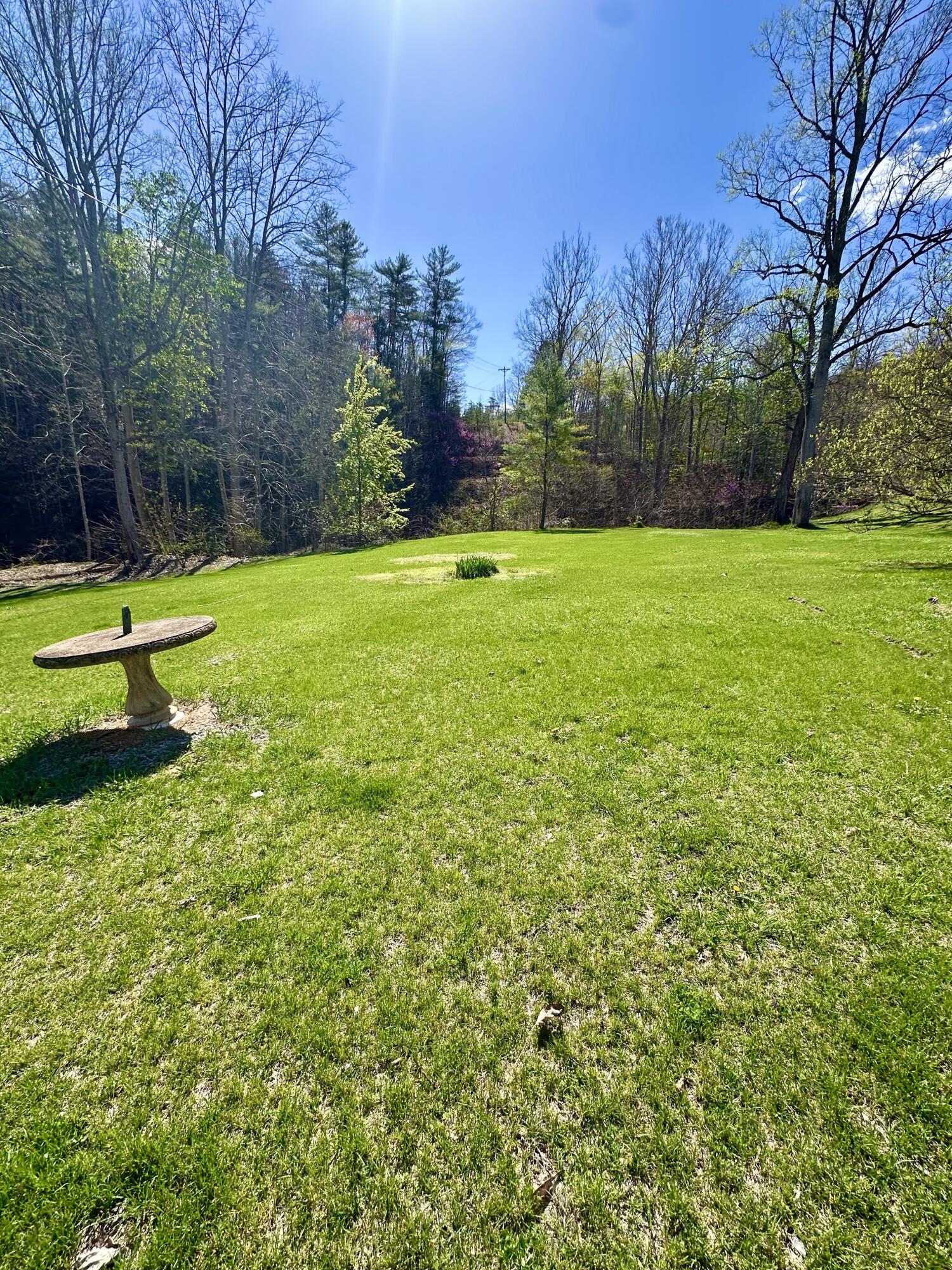 5910 Falls Road Hot Springs, VA 24445 - Photo 57 of 60 IMG_1350