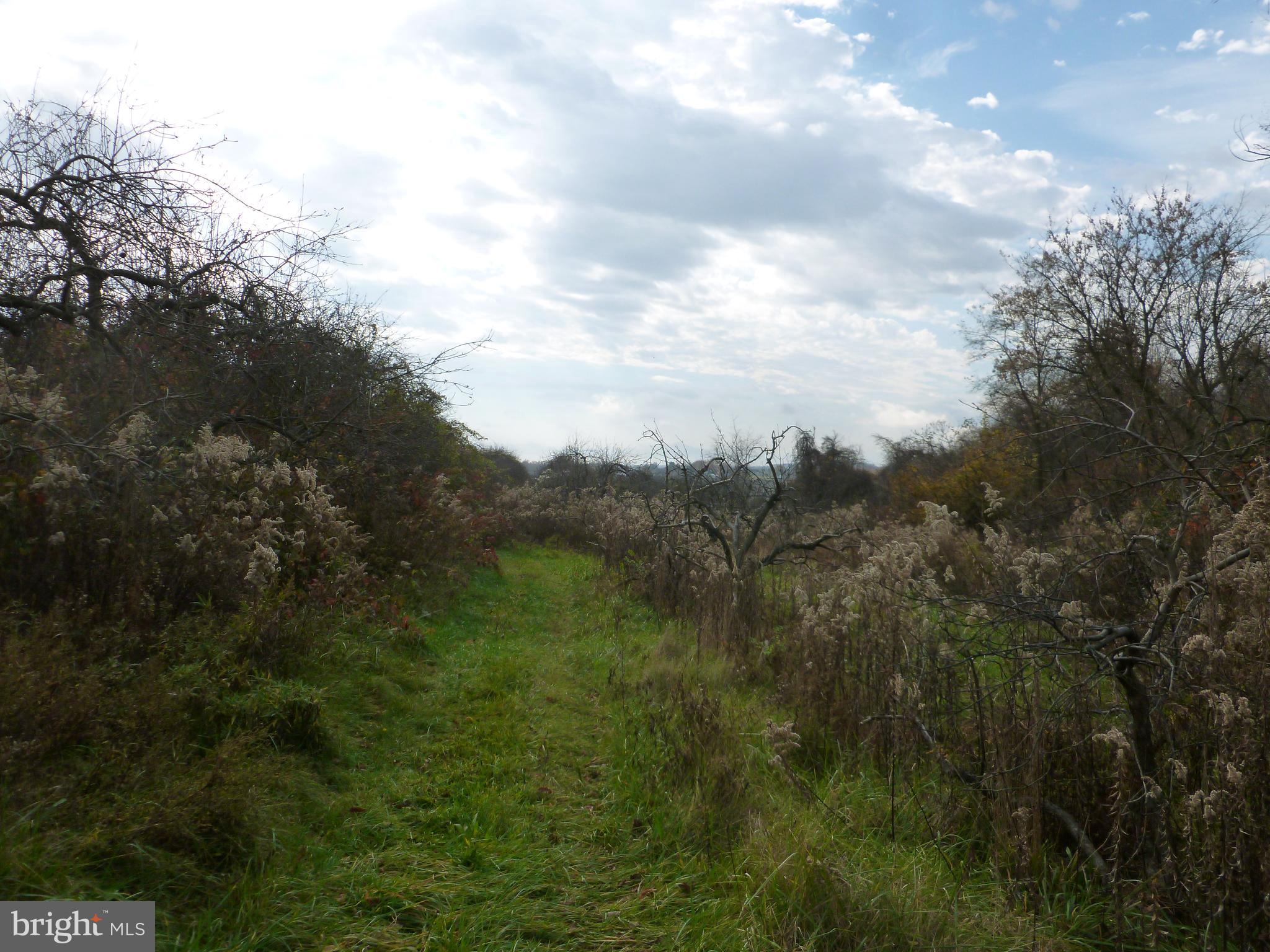 211 Opossum Hill Road Aspers, PA 17304 - Photo 2 of 4 a view of a yard