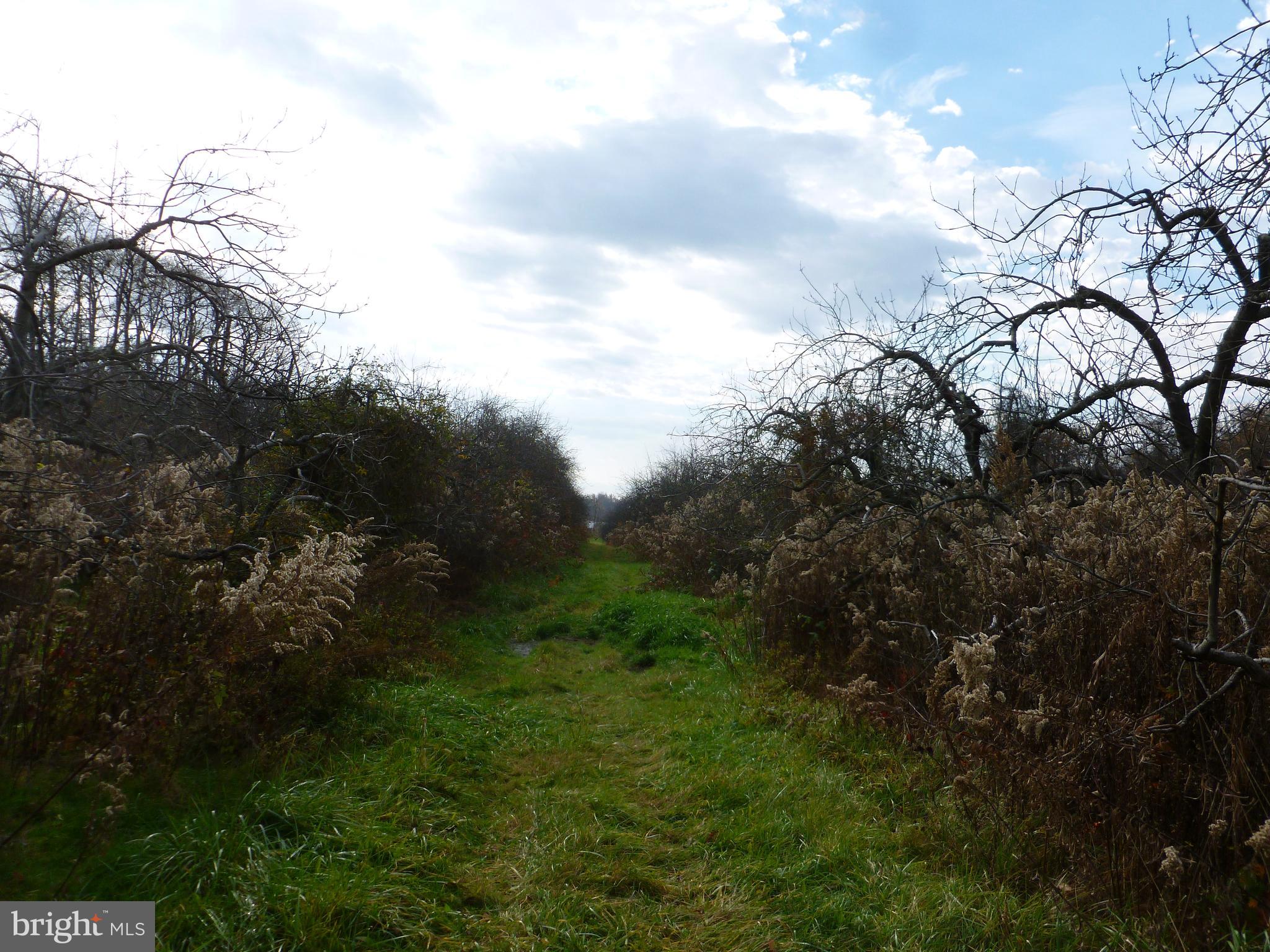 211 Opossum Hill Road Aspers, PA 17304 - Photo 3 of 4 a view of a yard