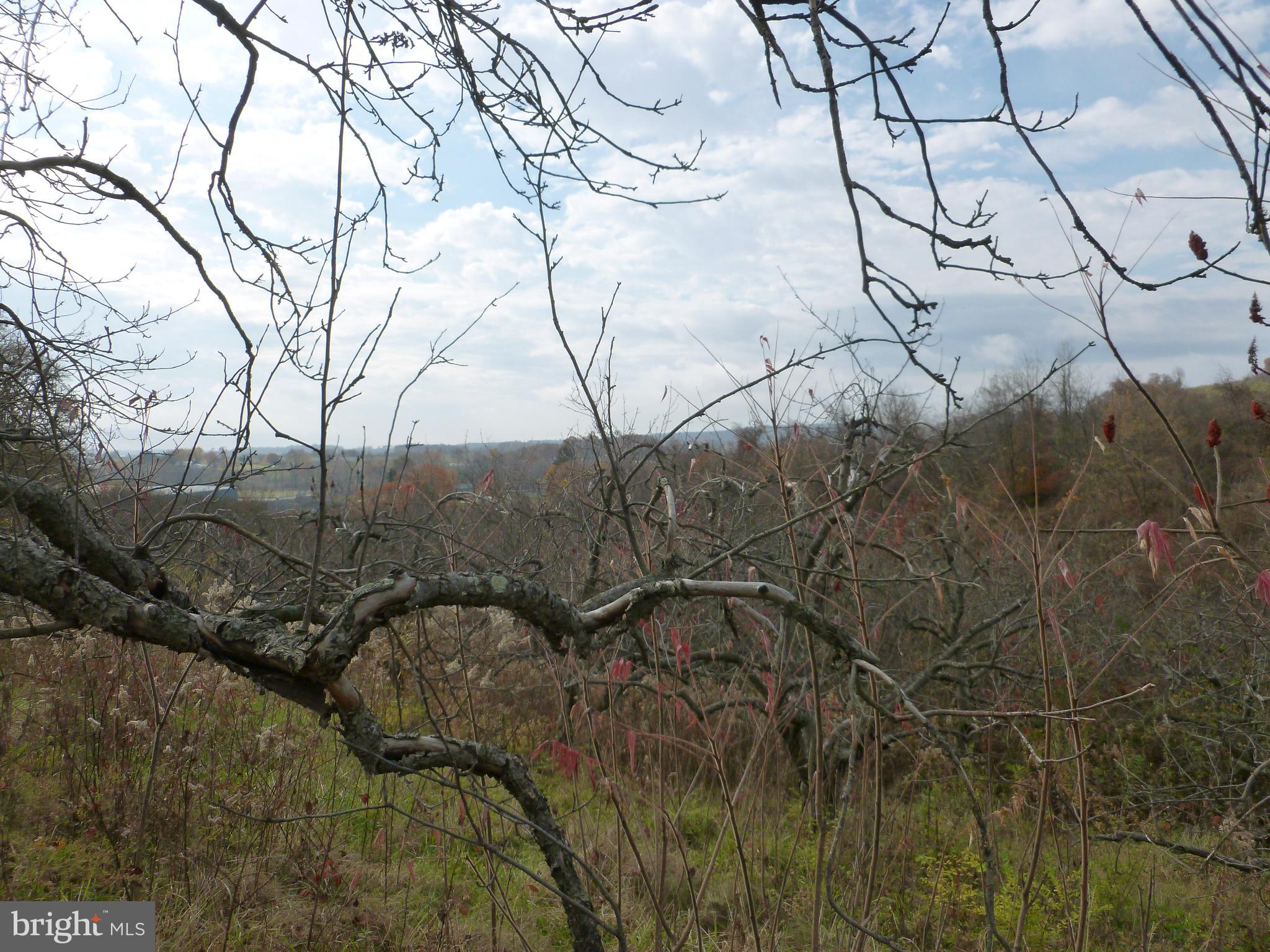 211 Opossum Hill Road Aspers, PA 17304 - Photo 4 of 4 a backyard of a house with lots of green space