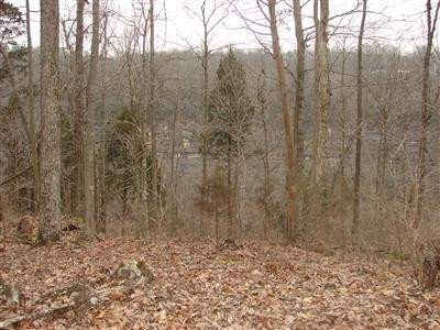 2595 High Bridge Road Wilmore, KY 40390 - Photo 39 of 39 Photo 42