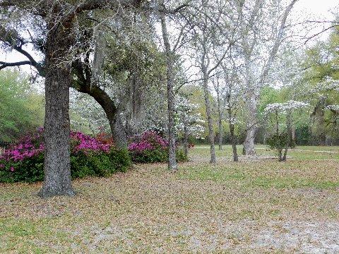 1659 Sandridge Road Dorchester, SC 29437 - Photo 33 of 64 dscn0538