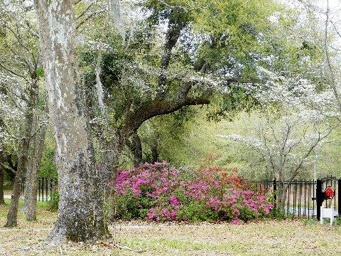 1659 Sandridge Road Dorchester, SC 29437 - Photo 36 of 64 dscn0547
