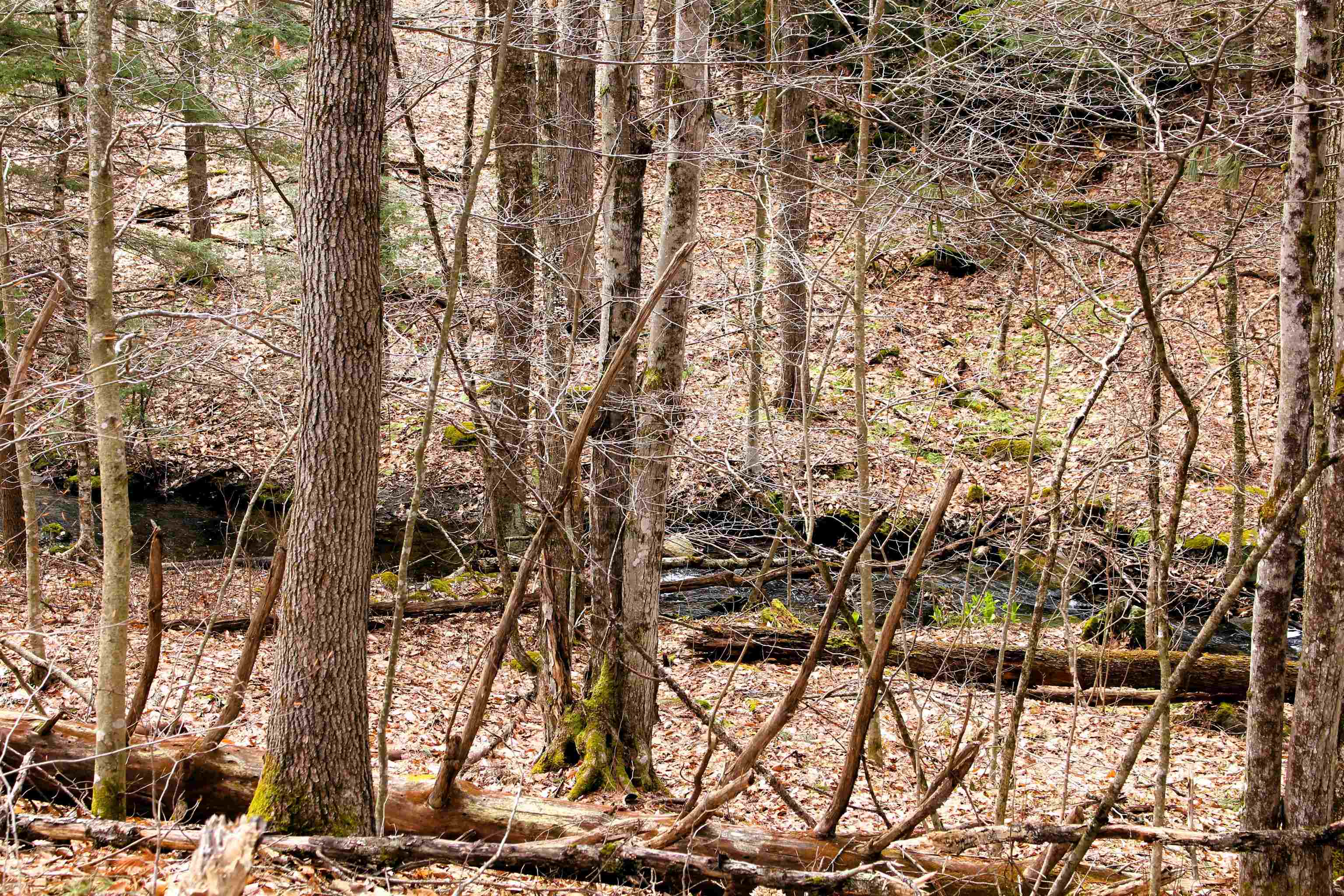36 Hackleboro Road Canterbury, NH 03224 - Photo 11 of 11