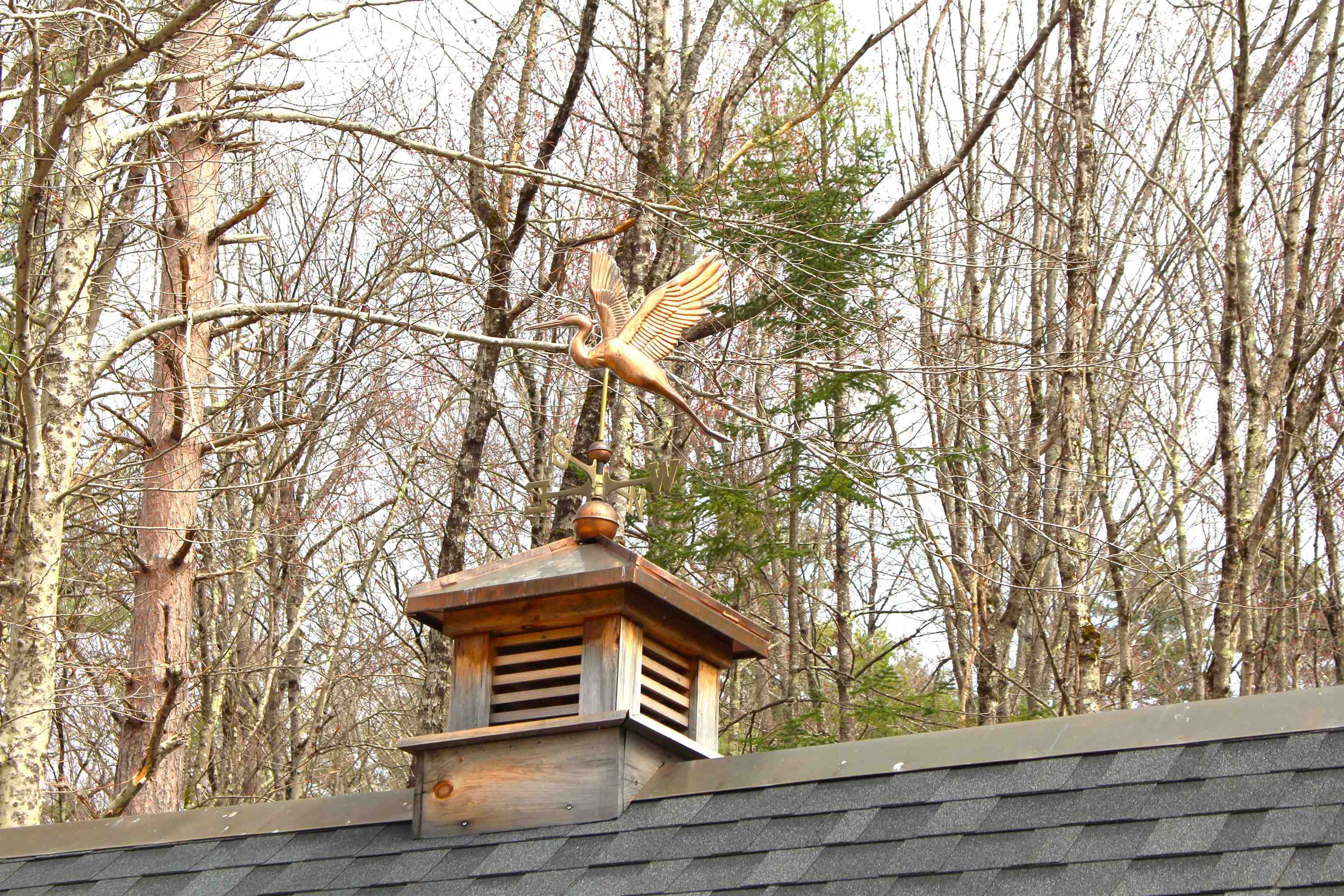 36 Hackleboro Road Canterbury, NH 03224 - Photo 3 of 11