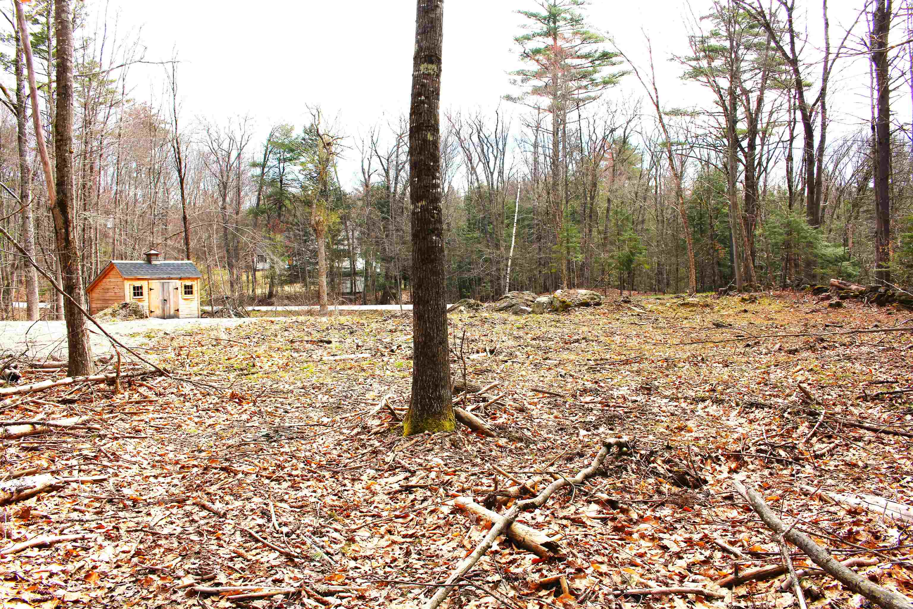 36 Hackleboro Road Canterbury, NH 03224 - Photo 6 of 11
