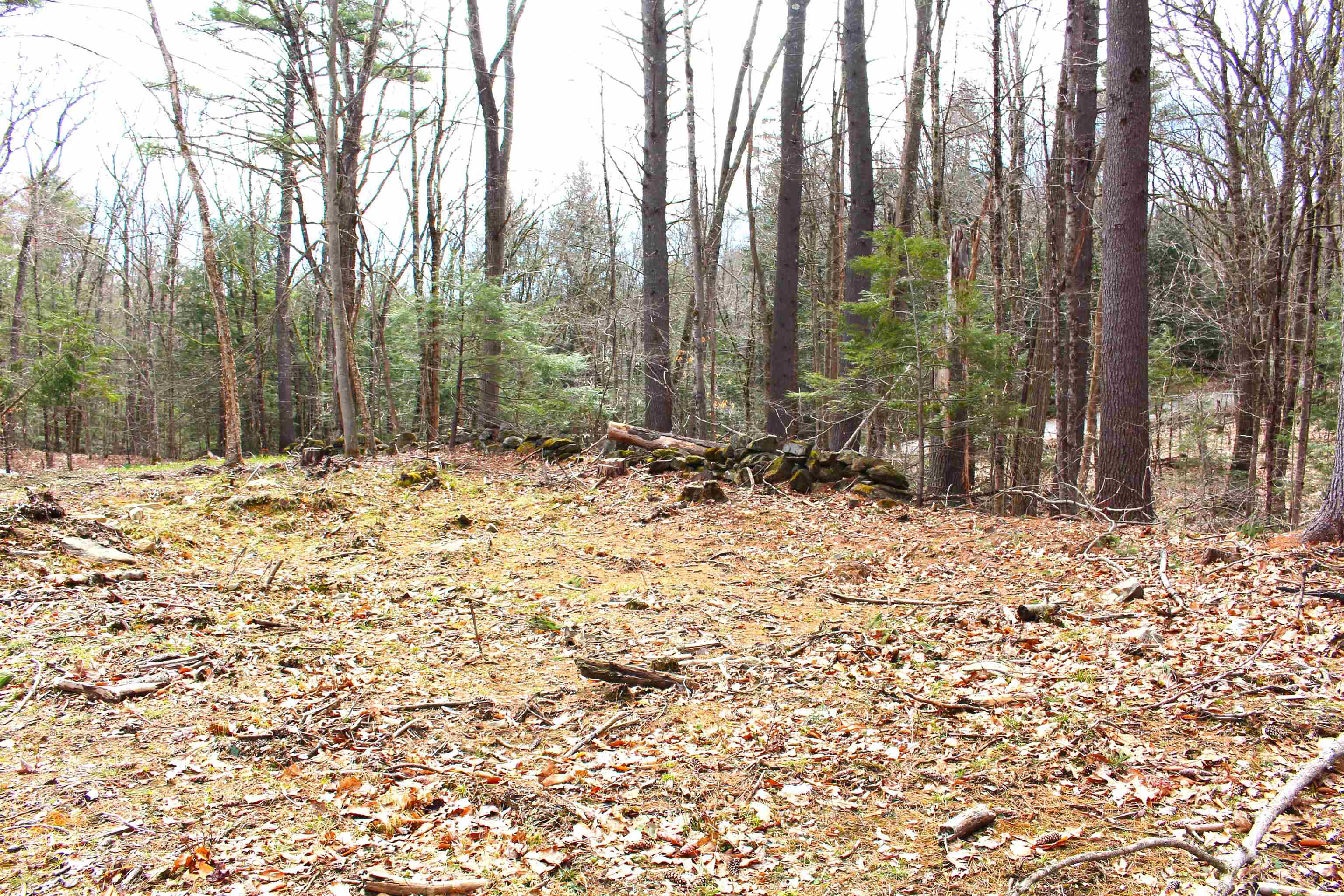 36 Hackleboro Road Canterbury, NH 03224 - Photo 8 of 11