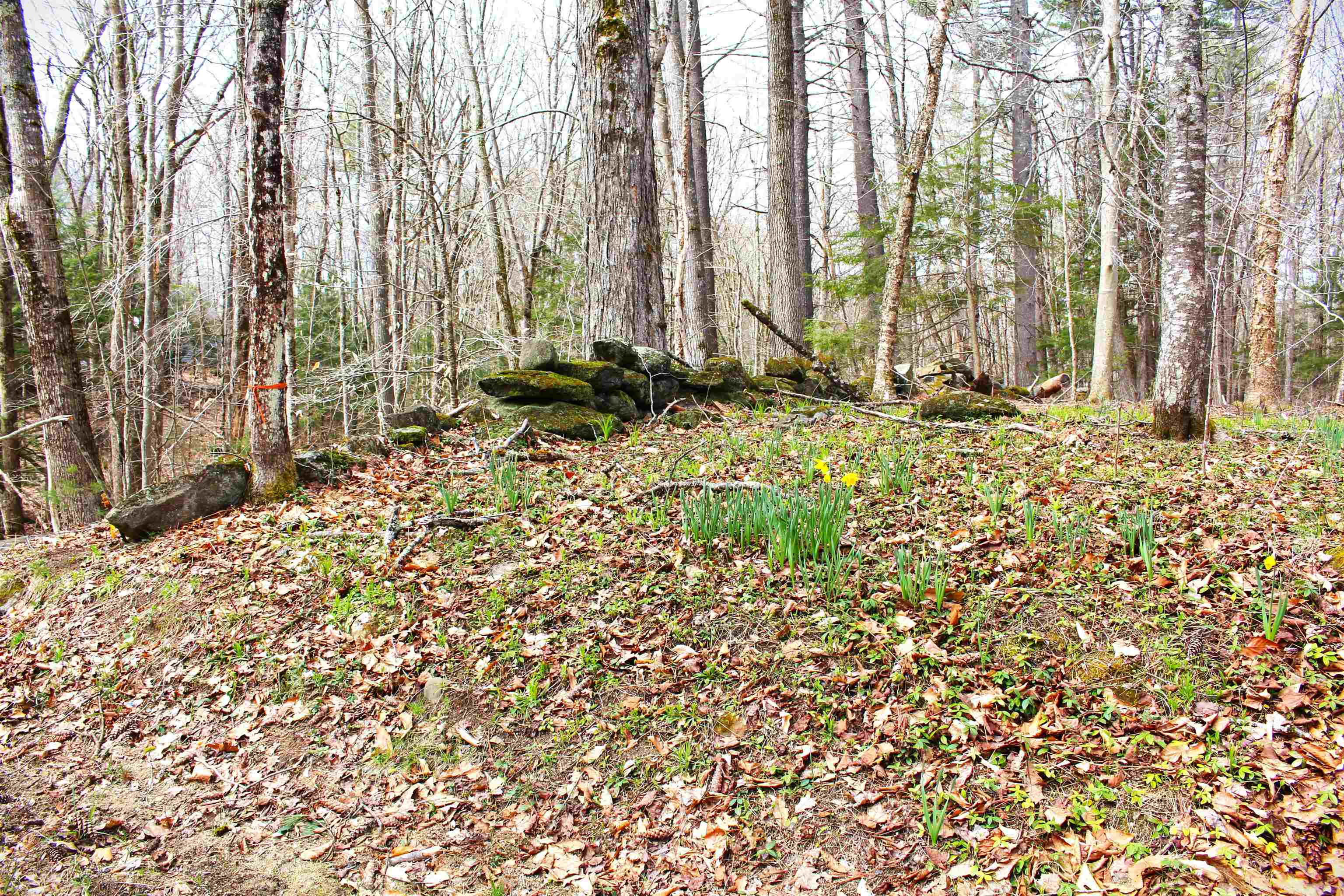 36 Hackleboro Road Canterbury, NH 03224 - Photo 9 of 11