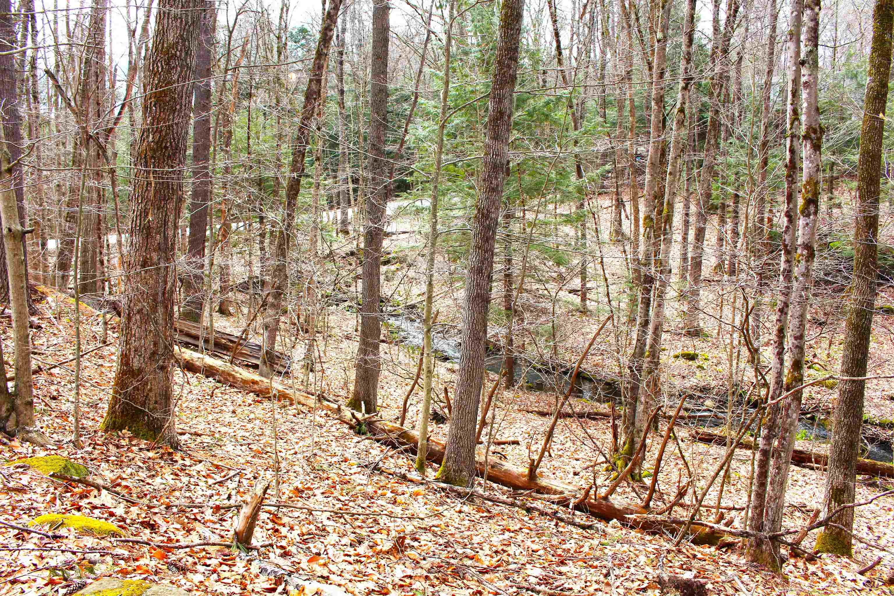 36 Hackleboro Road Canterbury, NH 03224 - Photo 10 of 11
