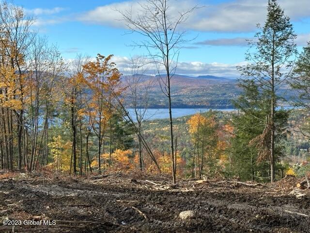 L36 Ernest Smith Road Adirondack, NY 12808 - Photo 1 of 19 view2