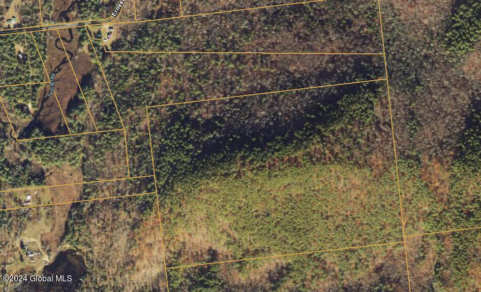 L36 Ernest Smith Road Adirondack, NY 12808 - Photo 15 of 19 Horicon Sat Image(1)