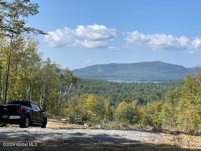 L36 Ernest Smith Road Adirondack, NY 12808 - Photo 2 of 19 nveiw