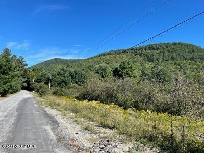 L36 Ernest Smith Road Adirondack, NY 12808 - Photo 3 of 19 road