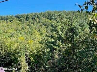 L36 Ernest Smith Road Adirondack, NY 12808 - Photo 4 of 19 Mountain
