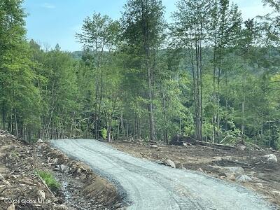 L36 Ernest Smith Road Adirondack, NY 12808 - Photo 5 of 19 Road6