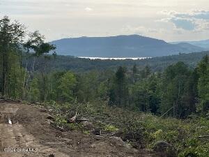 L36 Ernest Smith Road Adirondack, NY 12808 - Photo 6 of 19 Road2