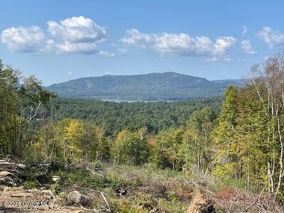 L36 Ernest Smith Road Adirondack, NY 12808 - Photo 7 of 19 1view