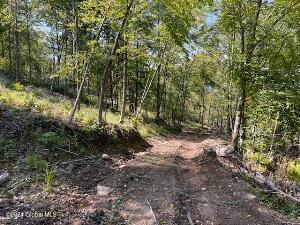 L36 Ernest Smith Road Adirondack, NY 12808 - Photo 8 of 19 1viiew2