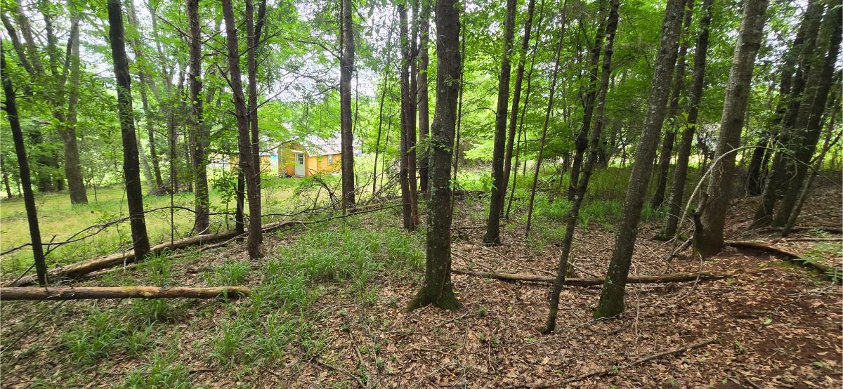 0 Ridge Road Southwest Cave Spring, GA 30124 - Photo 15 of 20 20260618_124259
