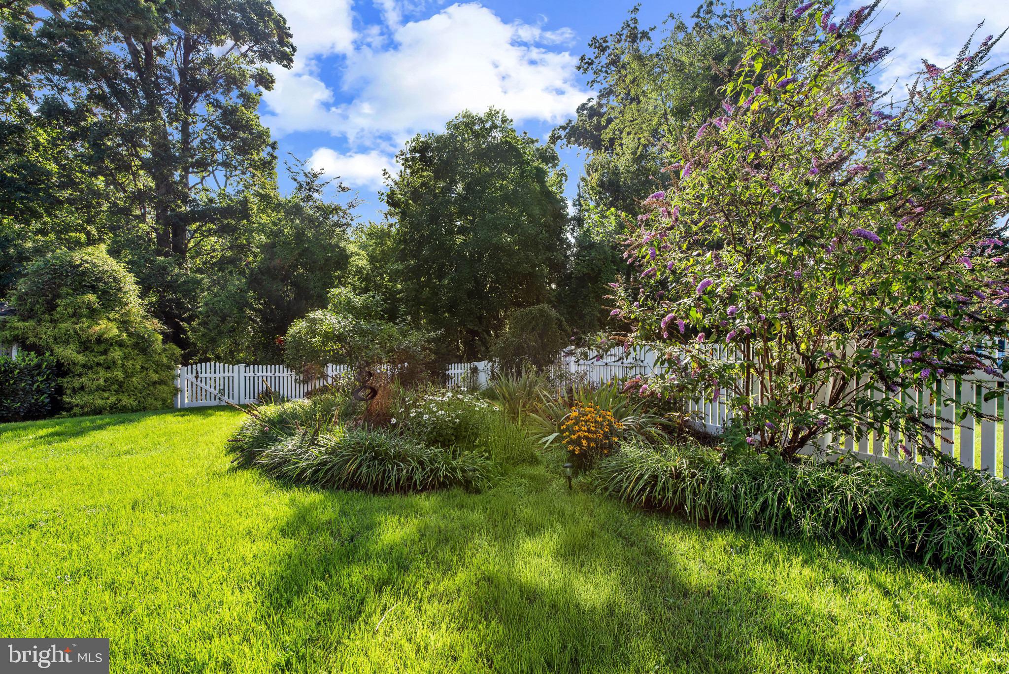 3314 Upton Road Parkville, MD 21234 - Photo 5 of 10 Rear Yard