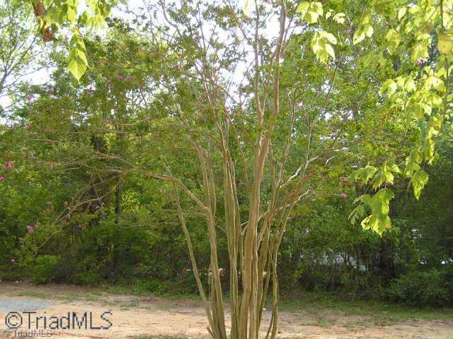 241 Pine Ridge Road Mocksville, NC 27028 - Photo 5 of 6 Other.