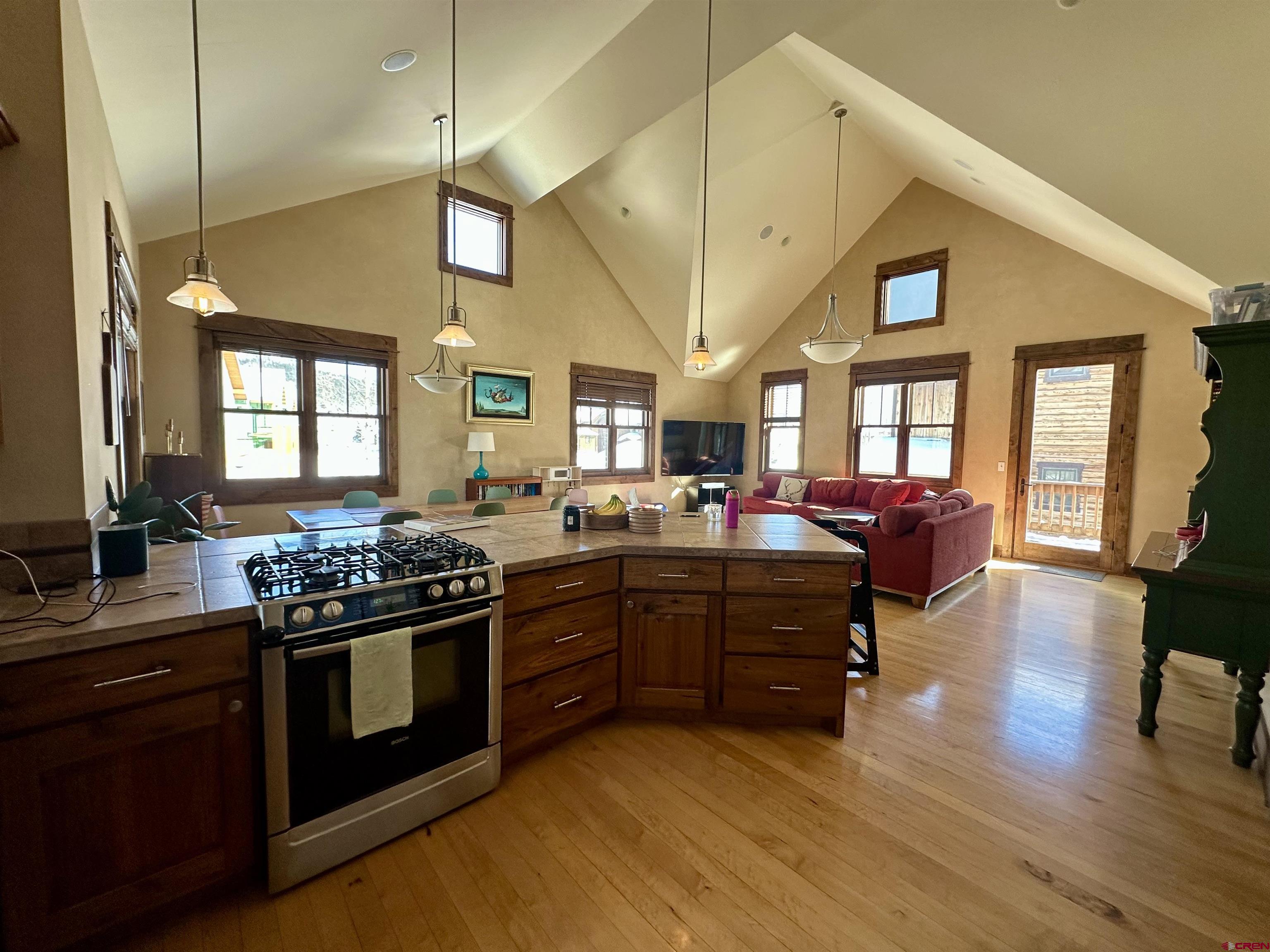 111 Alpine Court Crested Butte, CO 81224 - Photo 2 of 42