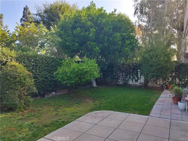 a view of a backyard with plants and a bench