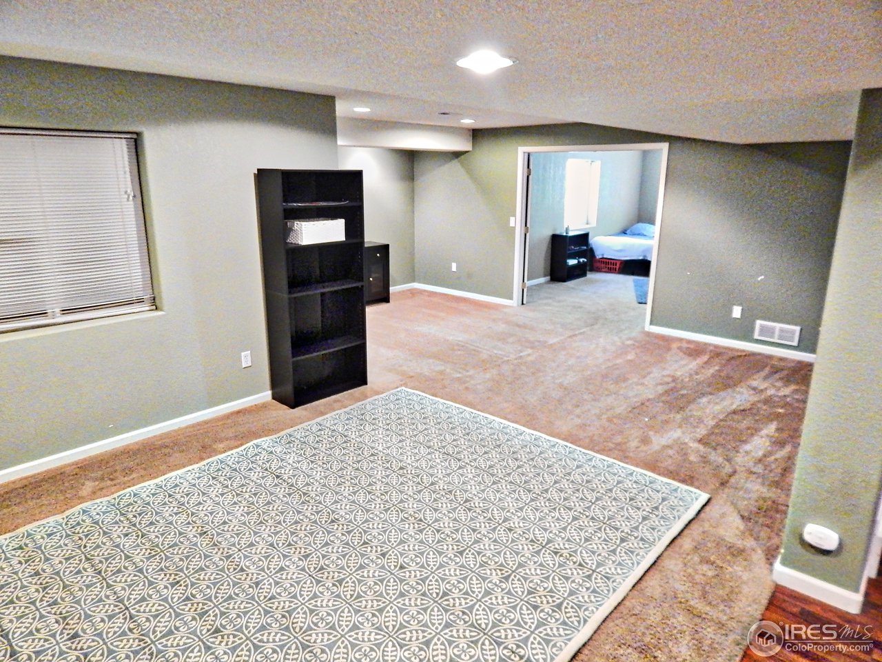 10101 West 13th St Road Greeley, CO 80634 - Photo 29 of 40 Basement Living Room