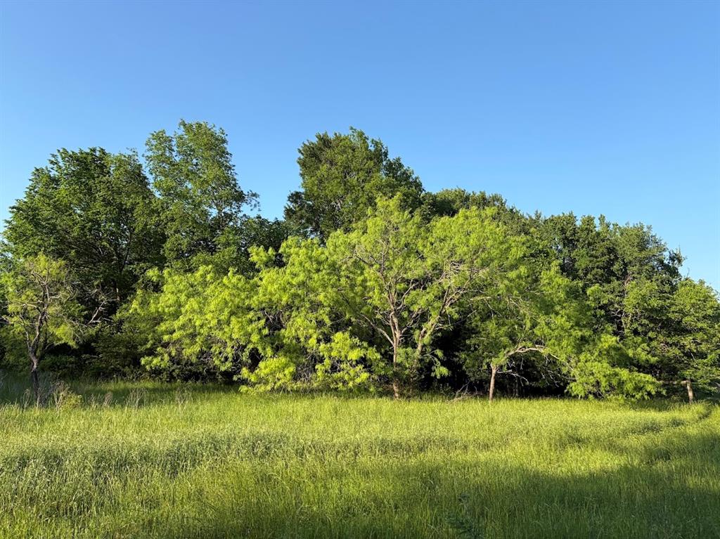 0 County Road 855 Teague, TX 75860 - Photo 12 of 19 a view of a garden with a lake
