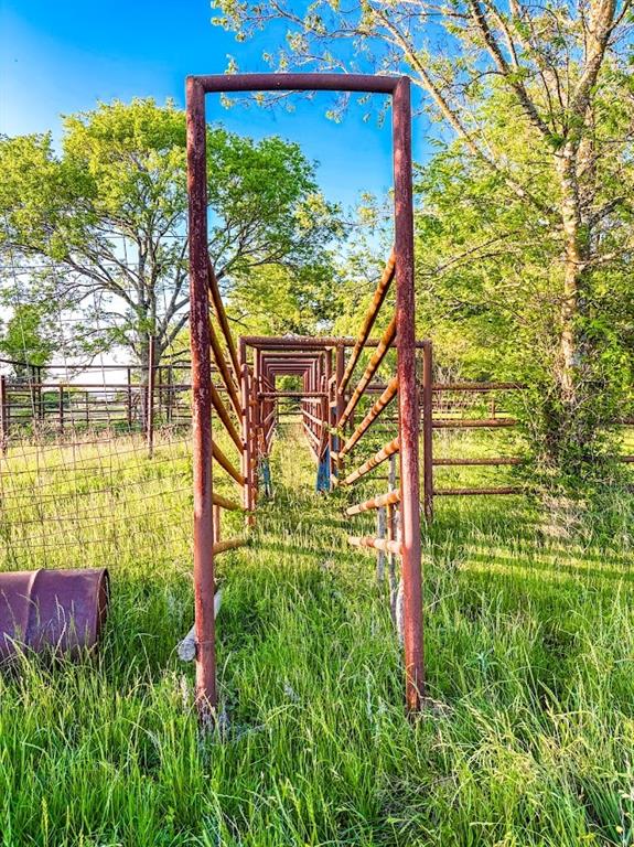 0 County Road 855 Teague, TX 75860 - Photo 15 of 19 a view of a yard with plants