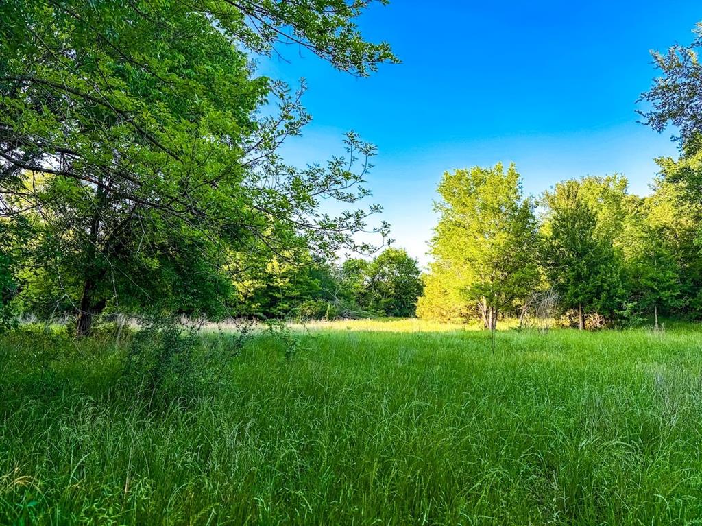 0 County Road 855 Teague, TX 75860 - Photo 2 of 19 a view of a garden with plants and large trees