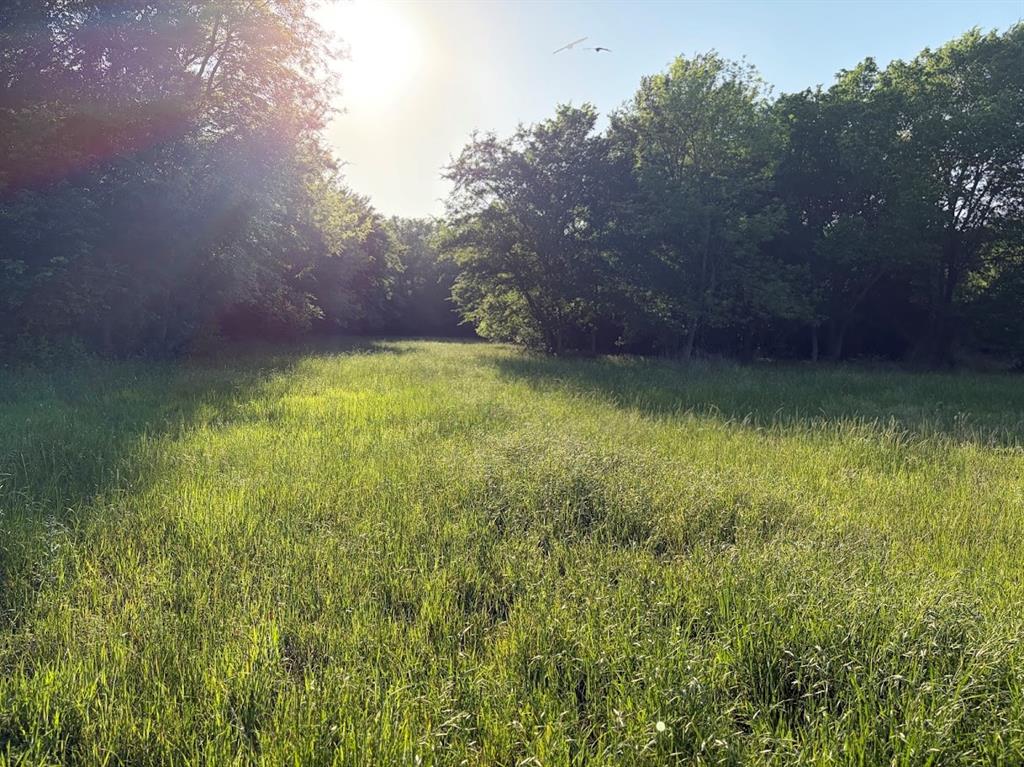 0 County Road 855 Teague, TX 75860 - Photo 3 of 19 a view of a back yard
