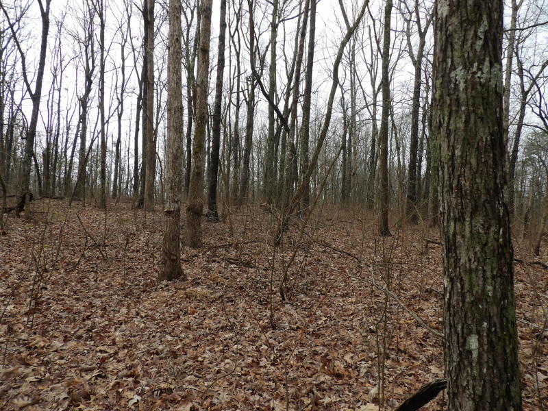 45 Valley View Road Crossville, TN 38572 - Photo 11 of 12 20200320194020677215000000-o