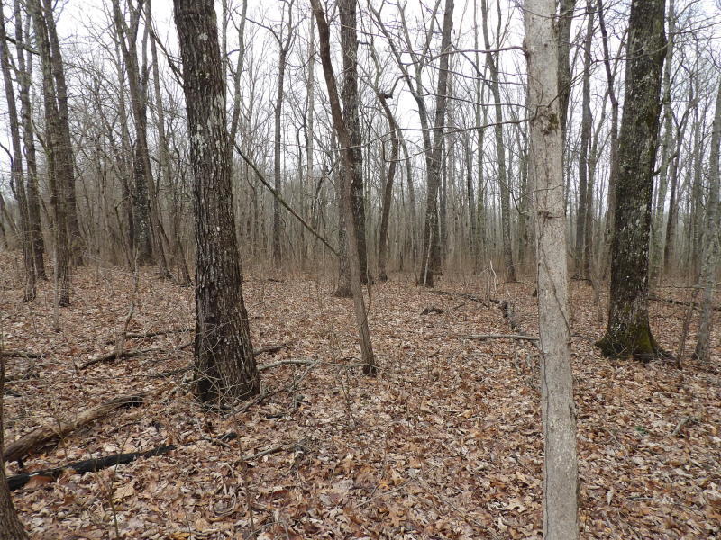 45 Valley View Road Crossville, TN 38572 - Photo 4 of 12 20200320193659608167000000-o