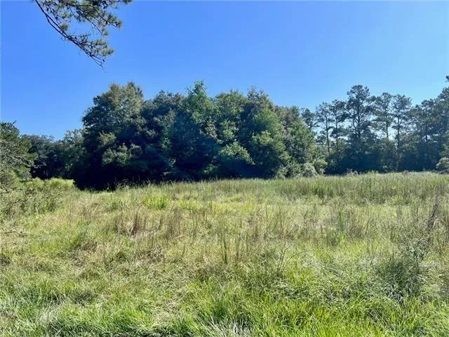 $350,000 | Parcel C Peters Road, Madisonville, LA 70447