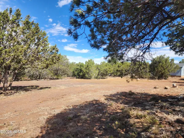 $74,900 | 77 Cr 3077 Vernon Az 85940, Show Low, AZ 85901