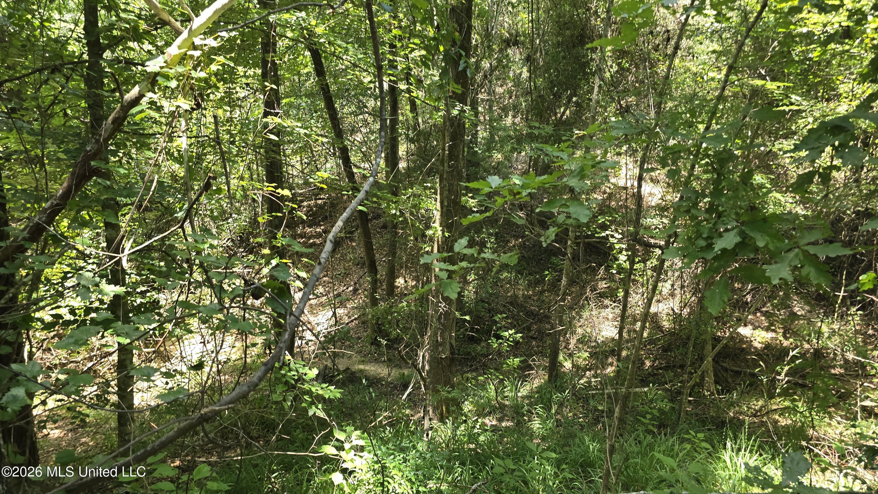 . Neal Posey Road McCall Creek, MS 39647 - Photo 3 of 18 20260709_130256