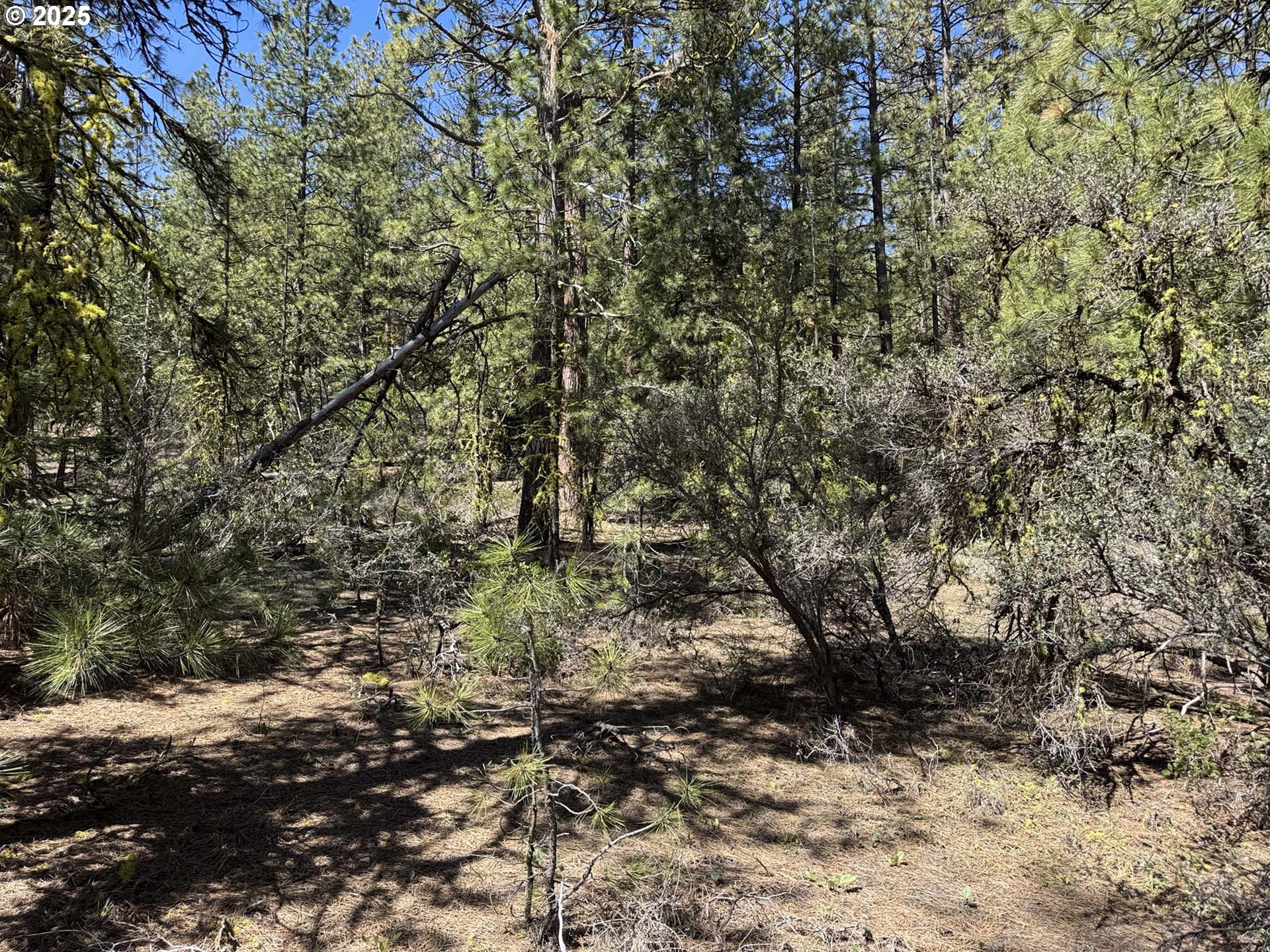 Horned Owl Lane Bonanza, OR 97623 - Photo 28 of 44