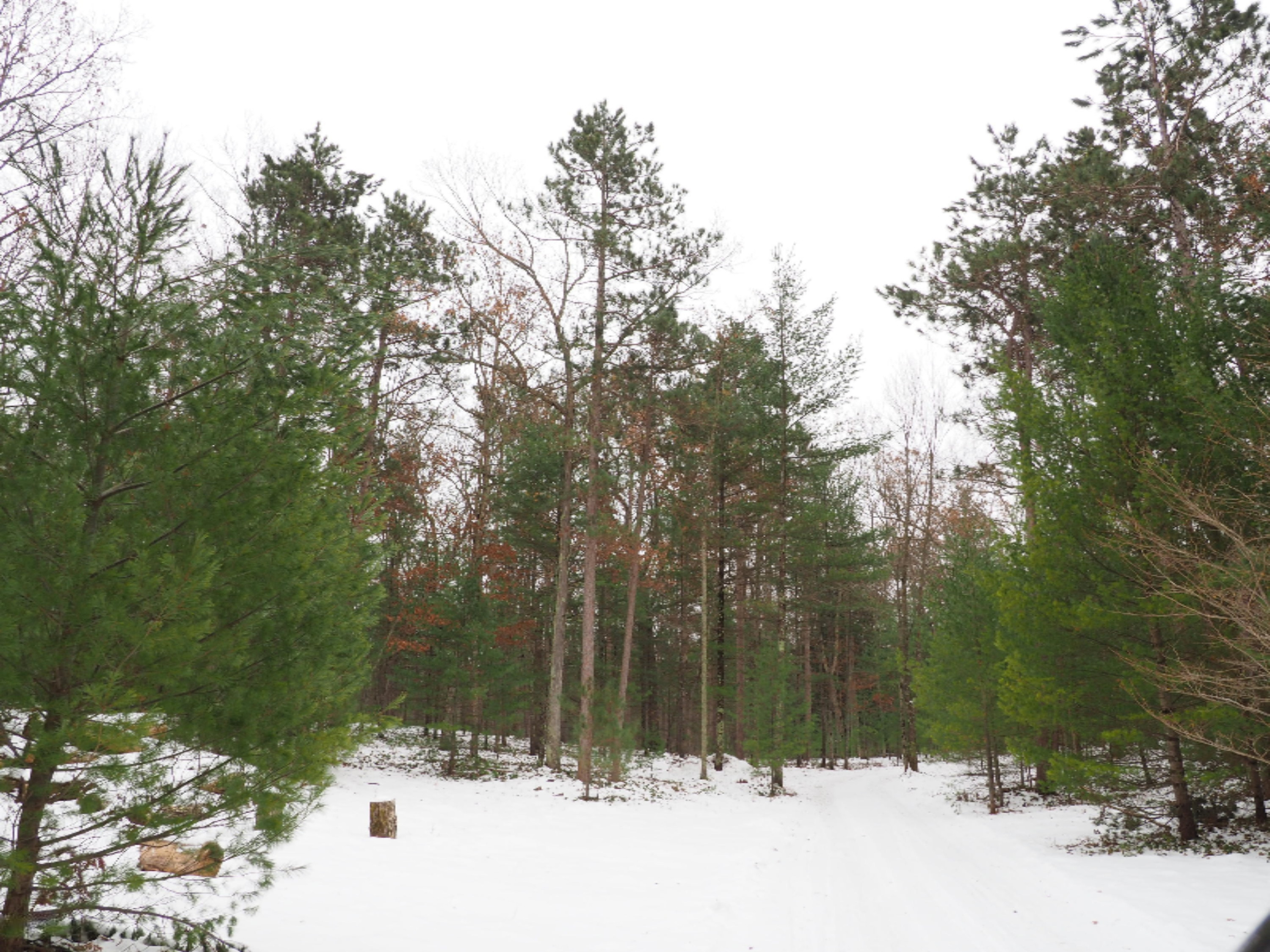 951 Preuss Road West Manistee, MI 49660 - Photo 53 of 75 PC180635