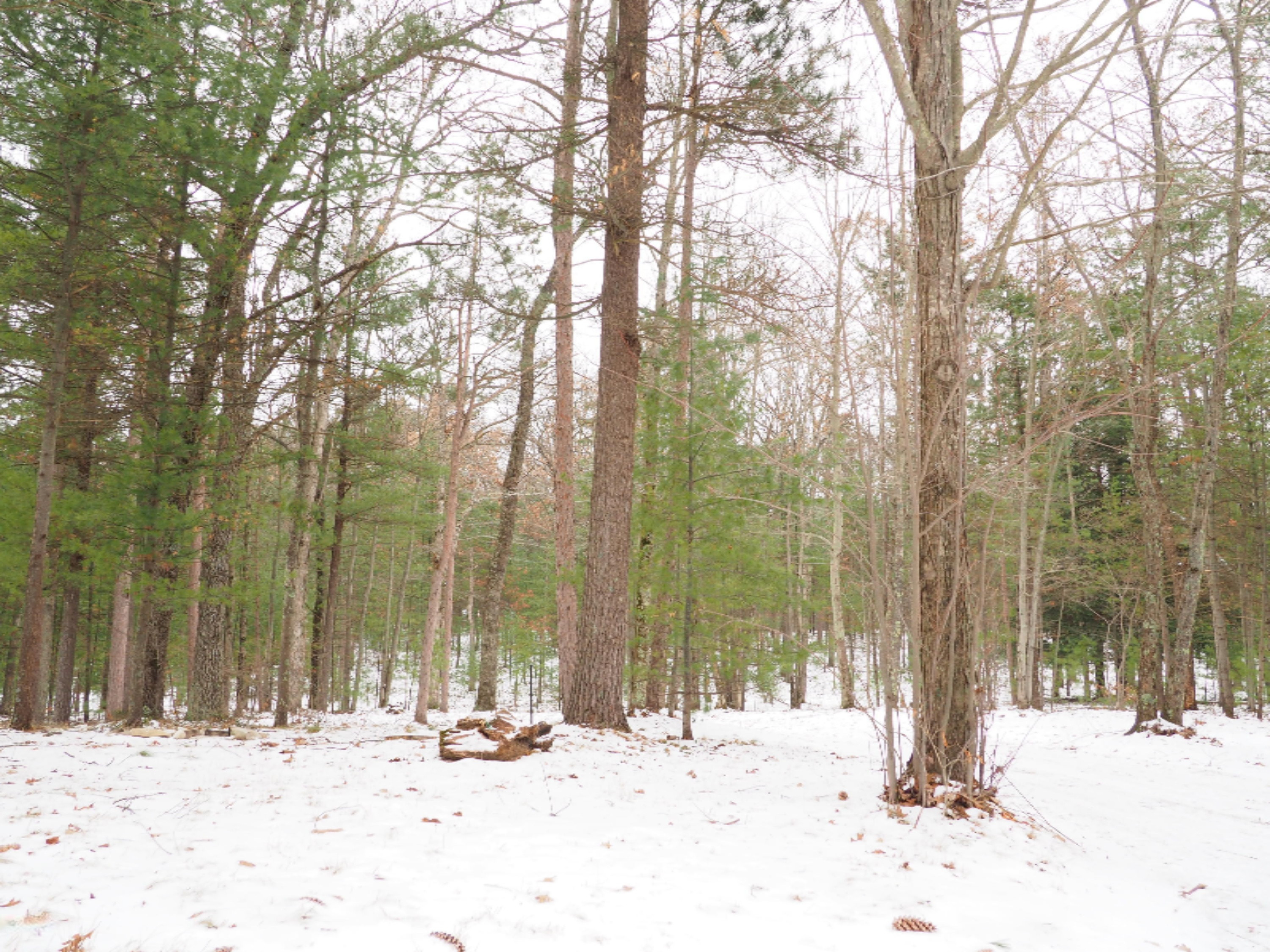 951 Preuss Road West Manistee, MI 49660 - Photo 55 of 75 PC180637