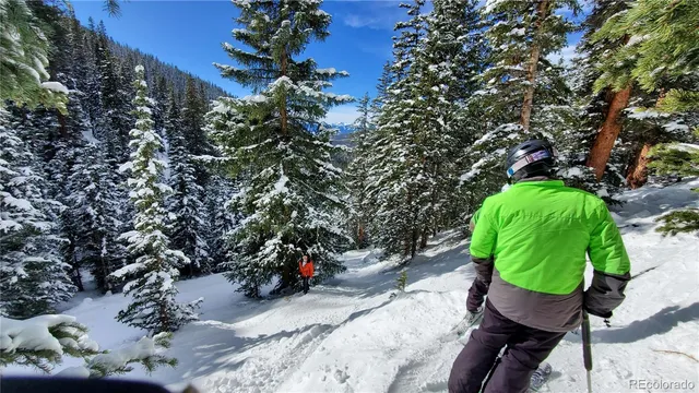 $68,000 | 2300 Lodgepole Circle, Unit 101, Silverthorne, CO 80498