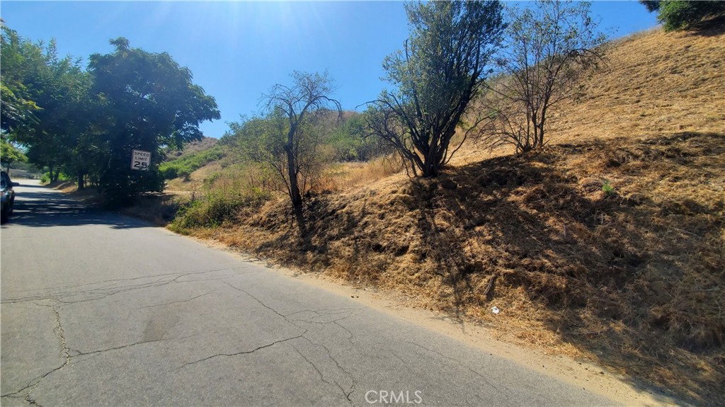 0 Hunstock Street Val Verde, CA 91384 - Photo 6 of 12 a view of a yard with a tree