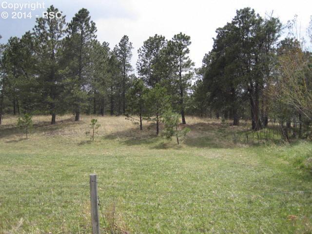 11045 Raygor Road Colorado Springs, CO 80908 - Photo 25 of 25