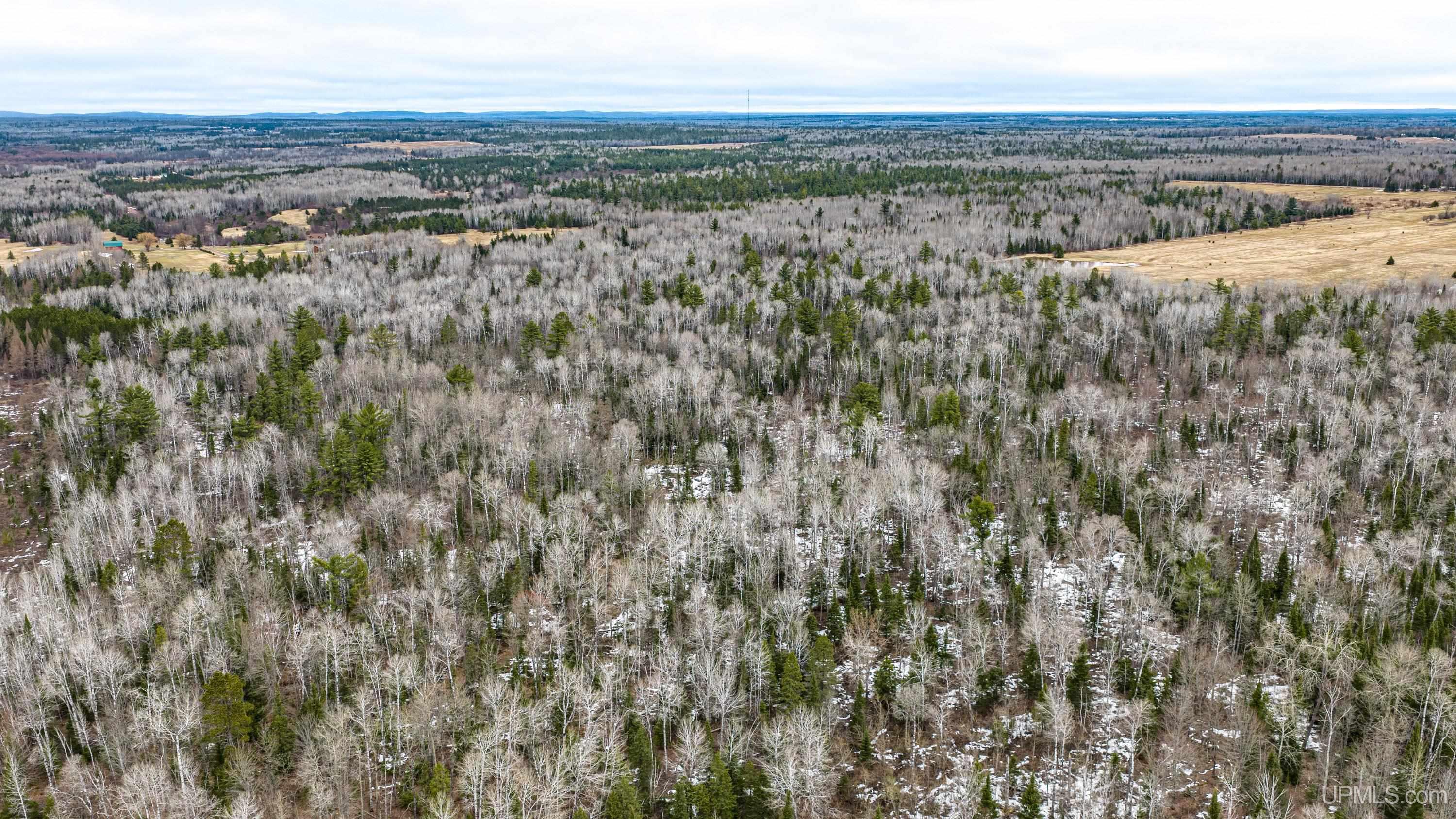 Tbd Off Of Choate Road, Unit NO INSURABLE LEGAL ACCESS Ewen, MI 49925 - Photo 20 of 30