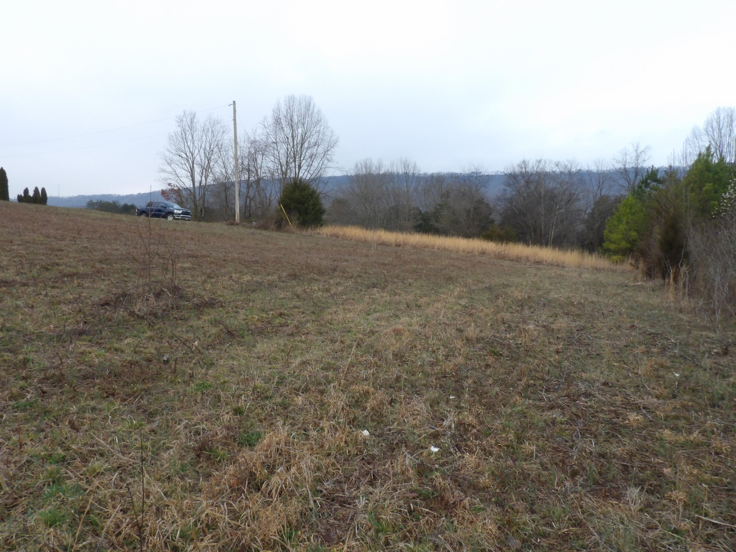 Lot 43 Meadow Vw Road, Unit 43 Pikeville, TN 37367 - Photo 12 of 25 100_2259