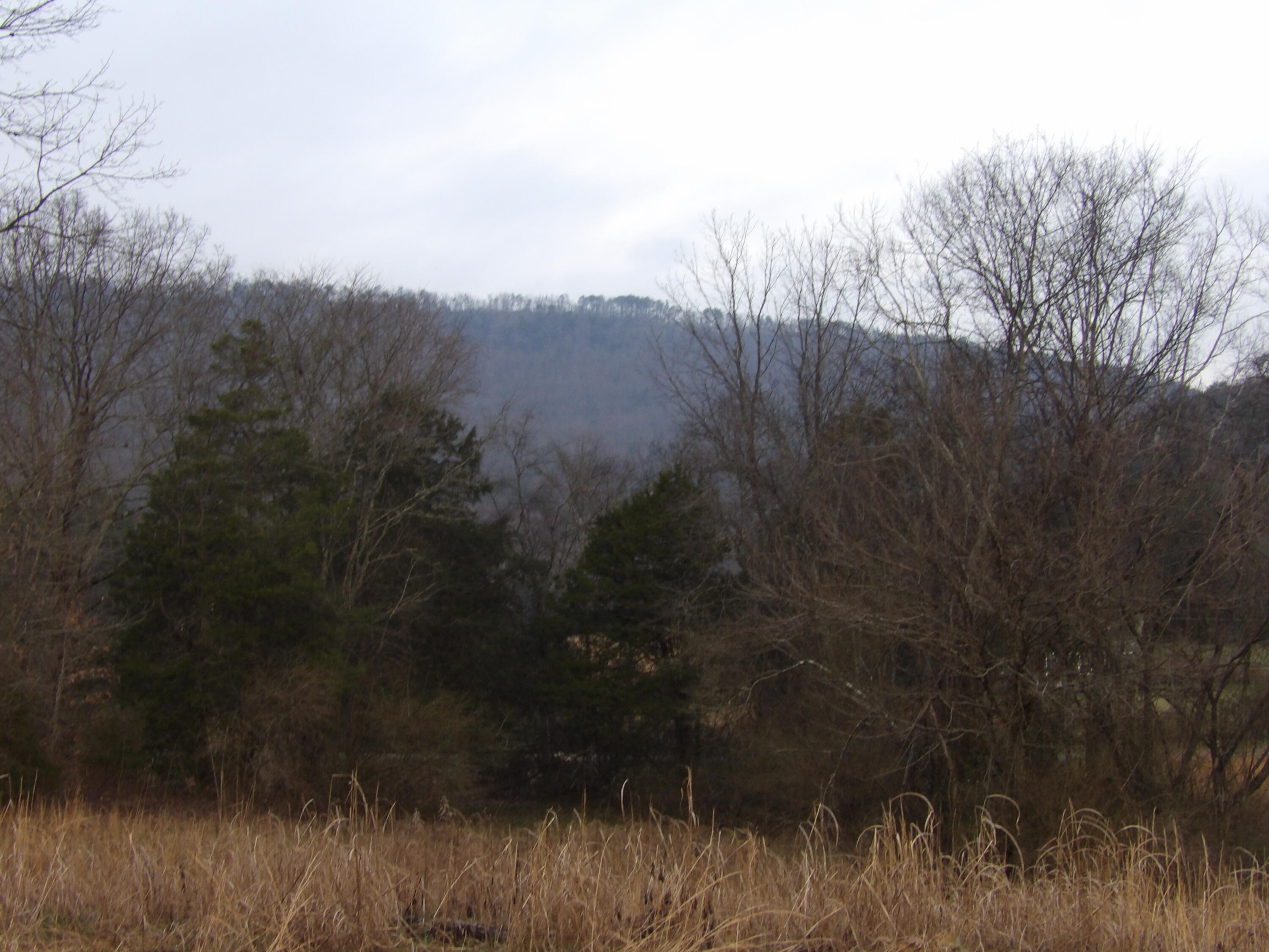 Lot 43 Meadow Vw Road, Unit 43 Pikeville, TN 37367 - Photo 14 of 25 100_2262