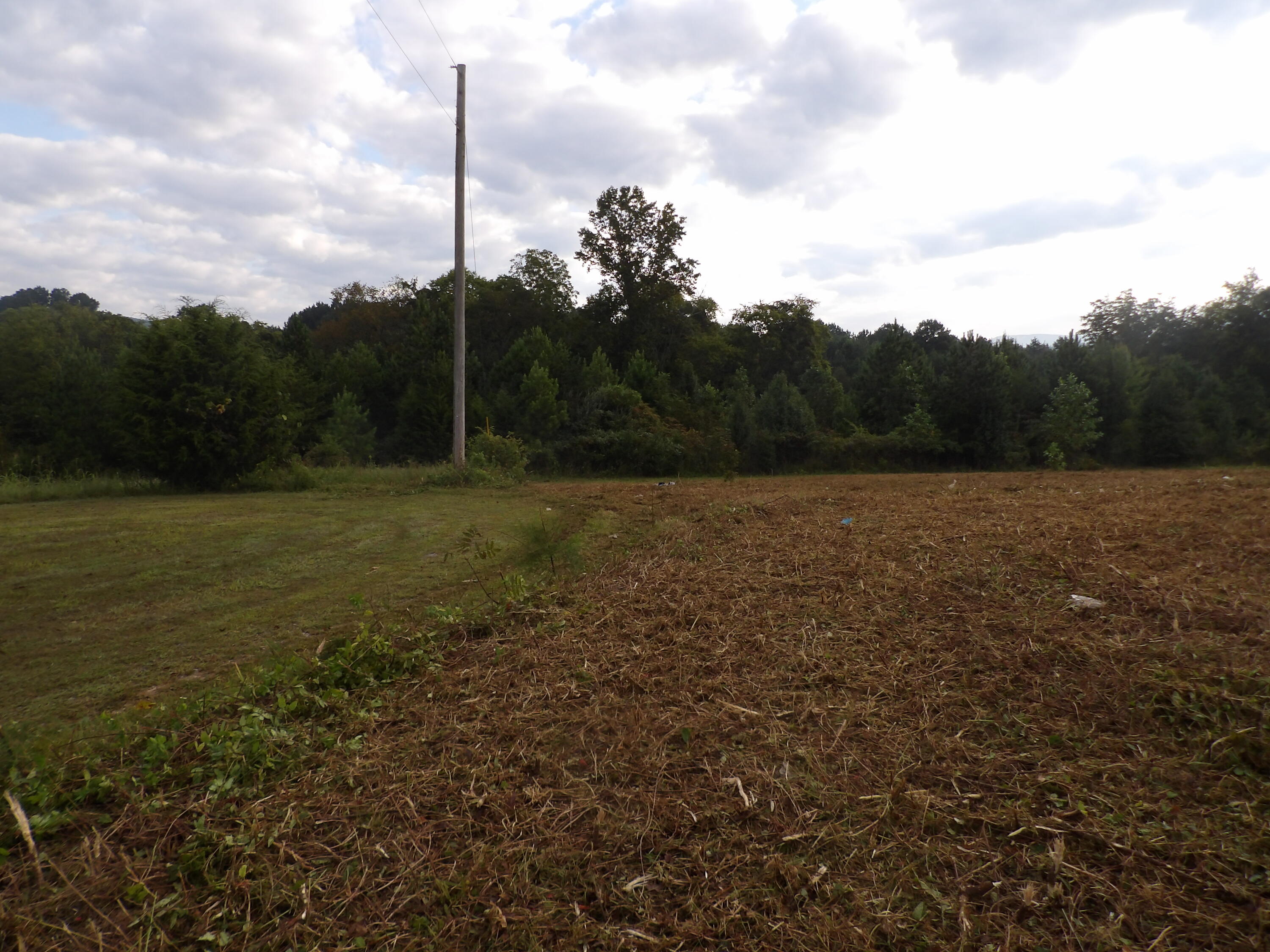 Lot 43 Meadow Vw Road, Unit 43 Pikeville, TN 37367 - Photo 18 of 25 100_1919